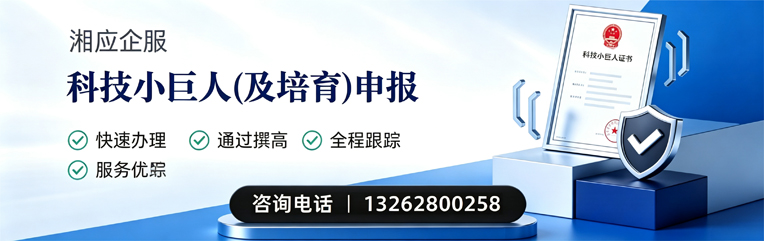 哈尔滨科技小巨人及培育企业申报服务