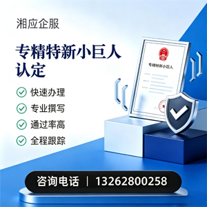 哈尔滨专精特新小巨人申报服务