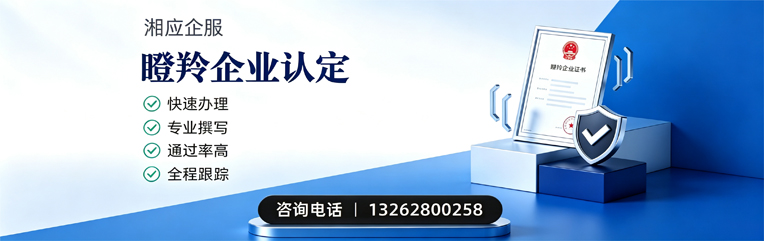 哈尔滨瞪羚企业认定申报服务