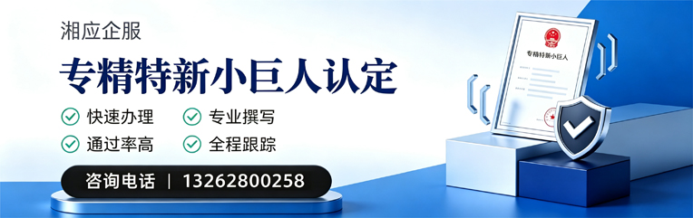 哈尔滨专精特新小巨人申报服务
